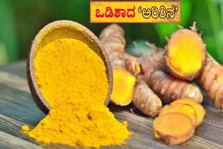 Finest Turmeric from the villages of Odisha ಮಾರುಕಟ್ಟೆಗಳಲ್ಲಿ ವಿಶೇಷ ಸ್ಥಾನ ಪಡೆದ ಒಡಿಶಾದ ಅರಿಸೀನ