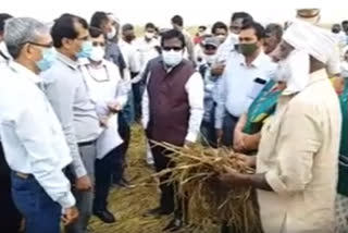 central team visits cyclone affected crops in guntur district