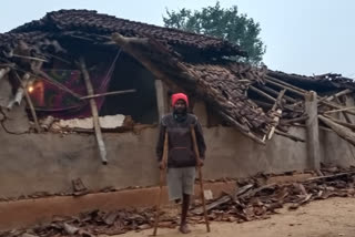 Elephant damaged homes in village