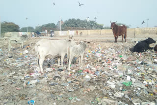 Nangli Sakravati Industrial Area with 3 Assembly Dumping Zone