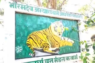 Villagers fear due to tiger at kawardha