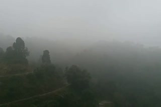 Fog causing damage to crops in Badsar of Hamirpur