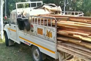 illegal wood seized in titabar