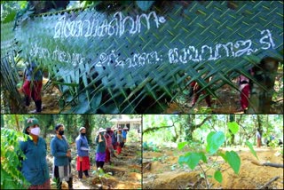 കാസര്‍കോട്‌ കാര്‍ഷിക ഗവേഷണ കേന്ദ്രം  മിയാവാക്കി വനം  കാസര്‍കോട്  പരിസ്ഥിതി പ്രവര്‍ത്തകന്‍  miyavakki forest  agricultural central kasargod