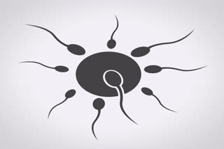 Symptoms Of Sperm Allergy