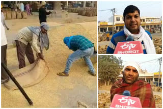 kaithal farmers are happy with the increase in basmati rice prices every day