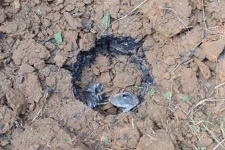 bds-team-recovered-5-kg-ied-from-pusnar-burji-route-in-bijapur