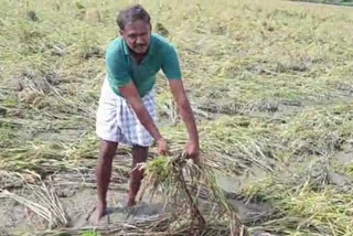thiruvallur Farmers demand adequate compensation