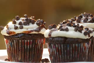 chocolate chip muffins