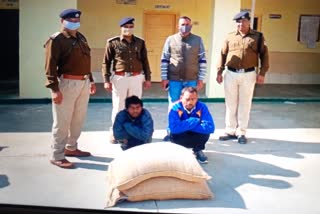 Wheat thief arrested