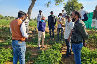 Banaskantha District Collector Anand Patel visits farmers
