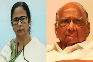 Sharad Pawar and Mamata Banerjee