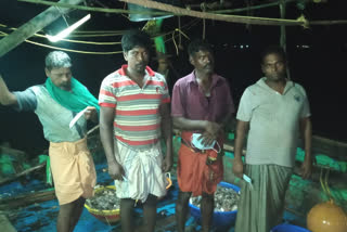 sri lankan navy arrested for tn fisheries