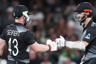 NZ vs PAK, 2nd T20I: Southee, Seifert help hosts gain unassailable 2-0 lead