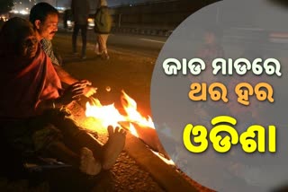 ଅସହ୍ୟ ଶୀତରେ ଥରିବ ସାରା ଓଡିଶା, 5 ଜିଲ୍ଲାକୁ ଅରେଞ୍ଜ ୱାର୍ନିଂ