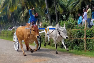 रकला रेस का आयोजन