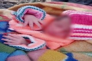 newborn girl found abandoned,  chittorgarh news