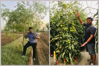 young man of palanpur earns Rs. 10 lakhs by organic farming