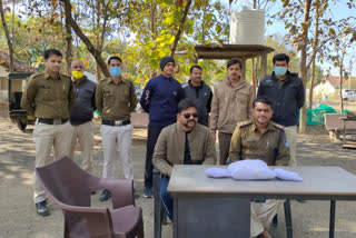 Patharia police arrested four accused in damoh