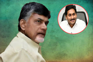 chandrababu birthday wishes to cm jagan