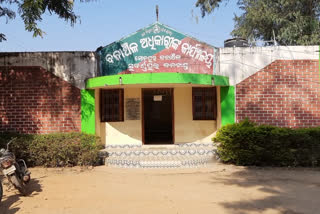 ହାତୀ ଶାବକର ମୃତ୍ୟୁ