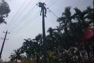 Man dies on electricity pole in Shimoga