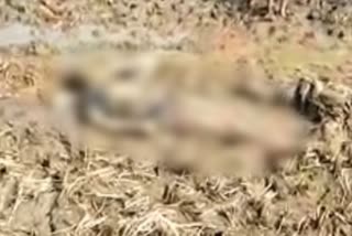 dead-body-of-young-man-found-in-farm-in-jamtara