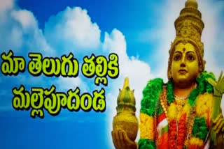 Telugu language festivals started in Visakhapatnam