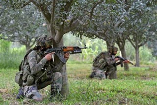 two militants surrender in kulgam encounter