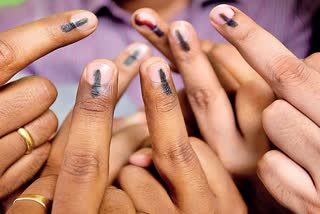 gram panchayat elections