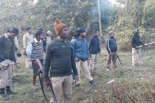 forest officials operation aginst elephant failed in nagaon