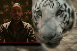 The White Tiger trailer