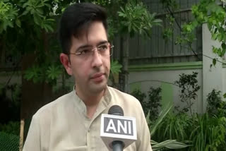 Centre must shun its ego, agree to farmers' demands: AAP's Raghav Chadha