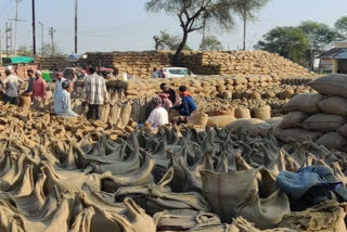 Transport of paddy has not started due to lack of gunny bags in paddy procurement centers in bemetara