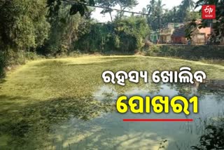 ପରୀ ହତ୍ୟା ମାମଲା: ସନ୍ଦେହୀ ପୋଖରୀକୁ ଶୁଖାଇଯାଉଛି