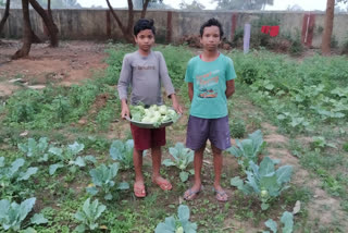 किचन गाKitchen garden prepared in kanker hostelर्डन