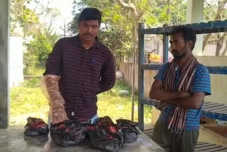 a Man arrested for selling meat in Dwarka