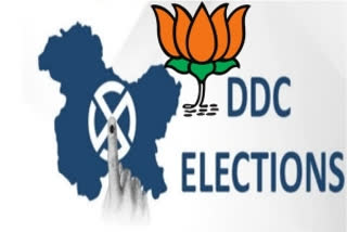 DDC elections