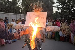 renowned-journalist-mrinal-talukdars-effigy-burns