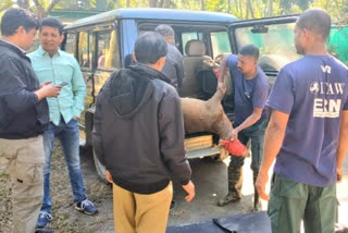 তেজপুৰ আৰক্ষীৰ তৎপৰতাত প্ৰাণ ৰক্ষা এটা পহুৰ