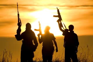 terrorist groups using corona