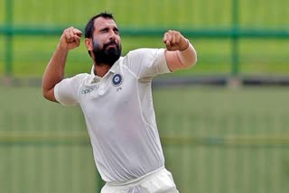 injured indian pacer mohammed shami advised for 6 weeks rest