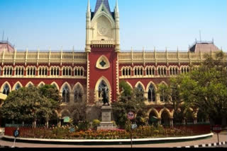 None can interfere if an adult marries as per her choice, convert: Calcutta HC