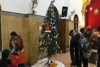 Christmas celebration