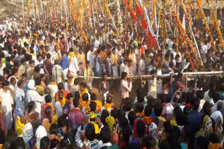 Madai mela will not be organized due to Corona