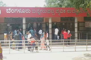 Bannerghatta Park; The High Court wanted direct explanation from the scientists