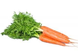 carrot