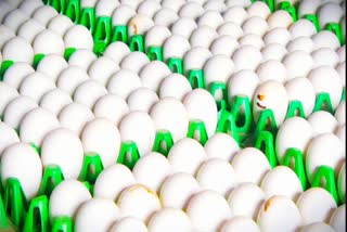 முட்டை விலை  நாமக்கல்லில் முட்டை விலை உயர்வு  Egg prices increased in Namakkal  முட்டை நுகர்வு  பண்ணை கொள்முதல் விலை  Farm purchase price  நாமக்கல் மாவட்டச் செய்திகள்  Namakkal District News  Egg consumption  Egg Price Hike  Namakkal Egg Price