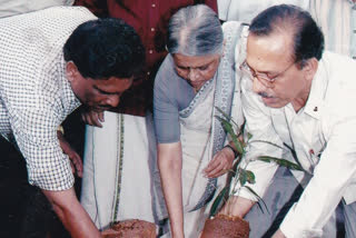 Sugathakumari  Tree planted by sugatha kumari in kasarkode  Tree planted by sugatha kumari  ഓര്‍മകൾ പേറി കാസർകോട്ടെ ആ തേൻമാവ്..