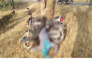 bike tree in jashpur